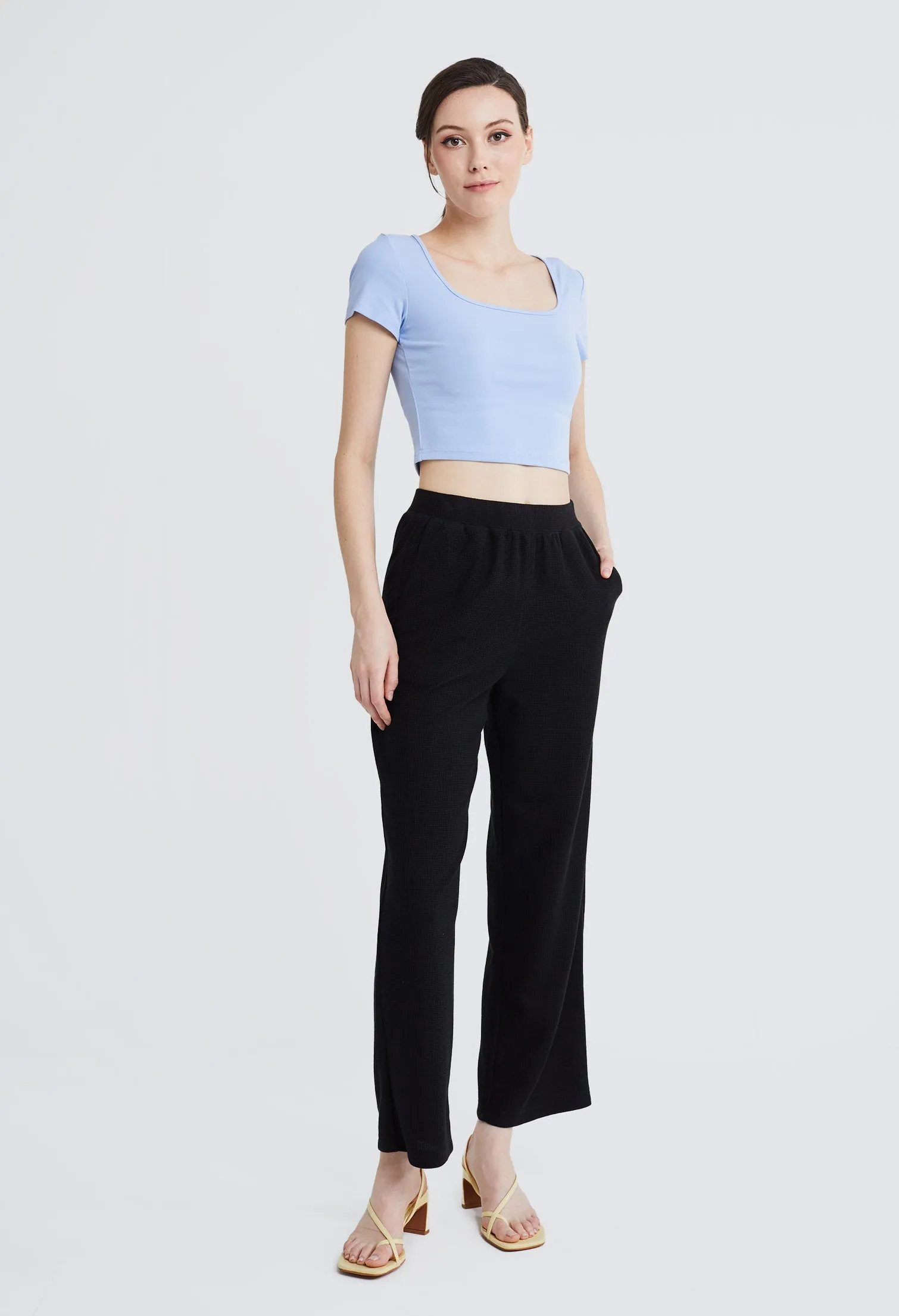 Cropped Basic Knit Fitted Top