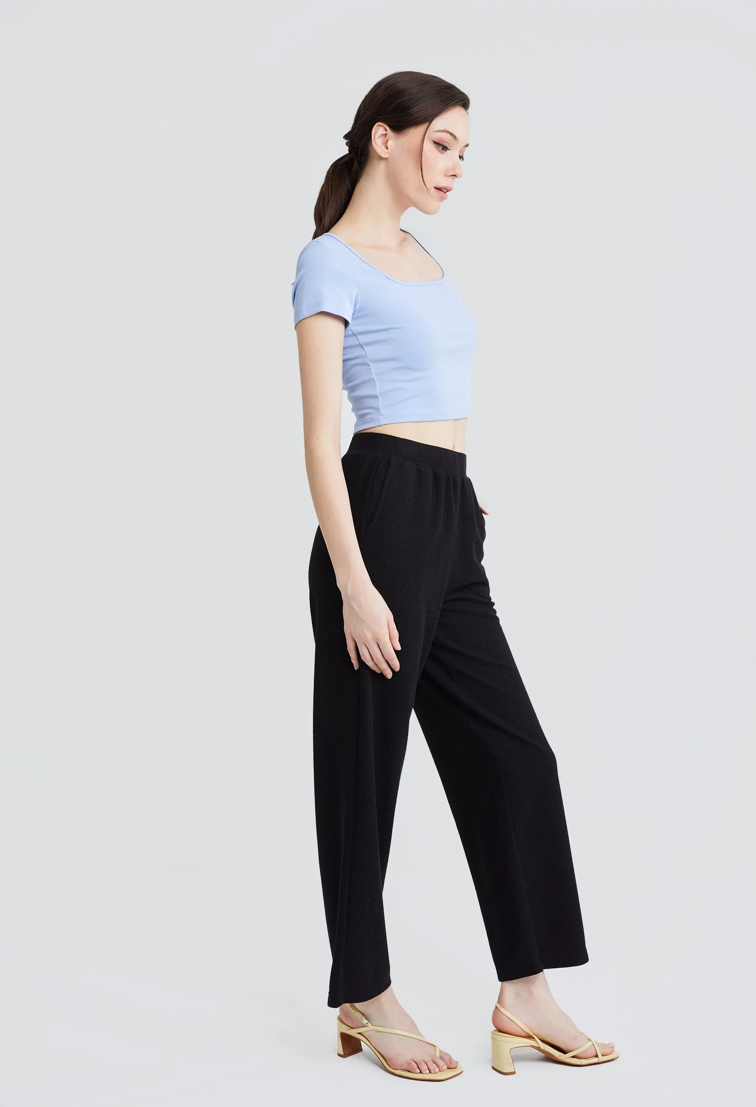 Cropped Basic Knit Fitted Top